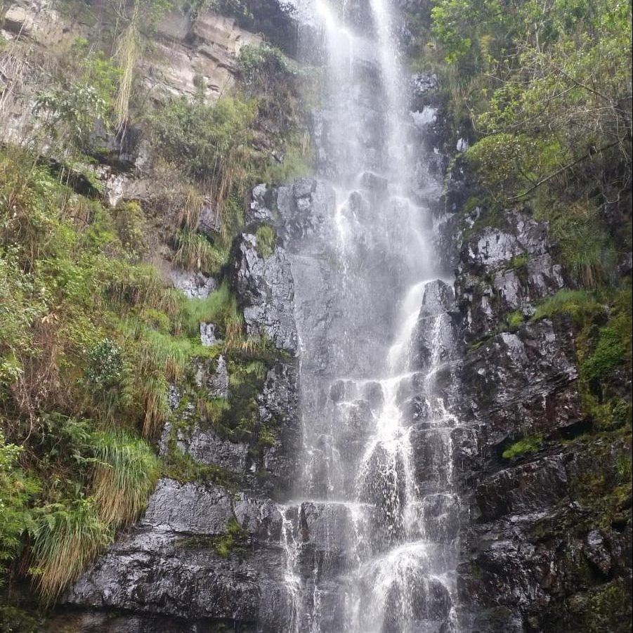 Tall waterfall in a forested area.